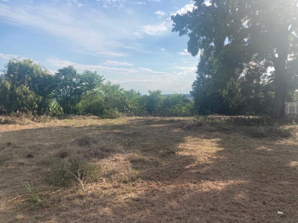 TERRENO AV.BRASIL -  CAMPO BOM