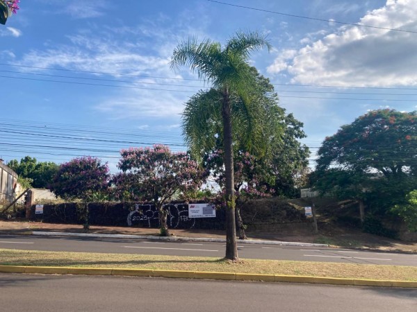 TERRENO AV.BRASIL -  CAMPO BOM